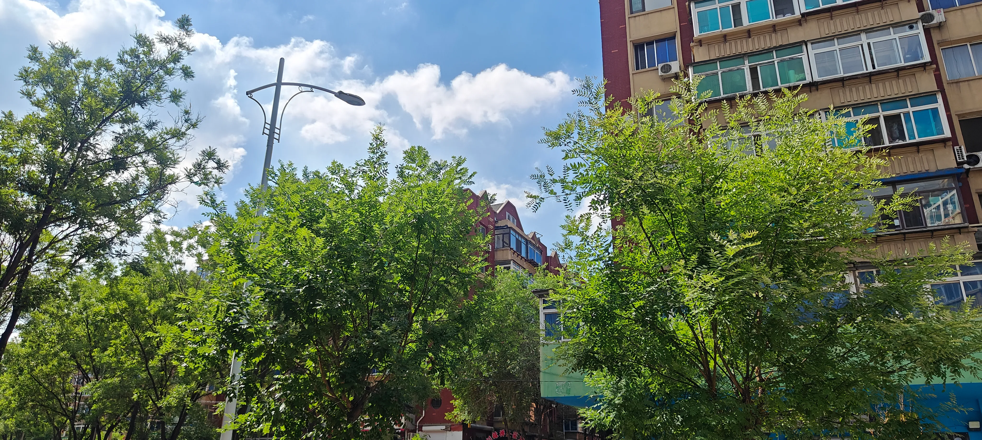 More Summer in a Northeastern Chinese Town