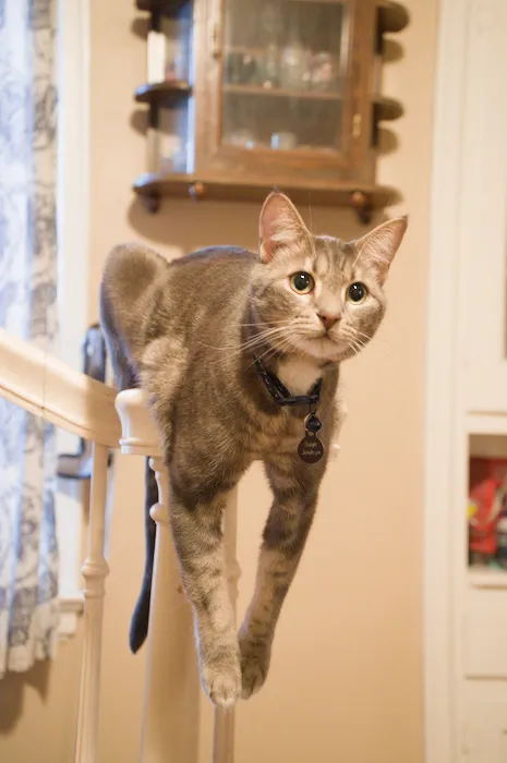 How to Calibrate White Balance and Adjust Colors in Darktable